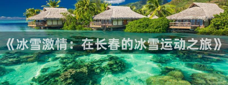三亿体育网：《冰雪激情：在长春的冰雪运动之旅》