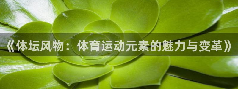 三亿体育网页版：《体坛风物：体育运动元素的魅力与变革》