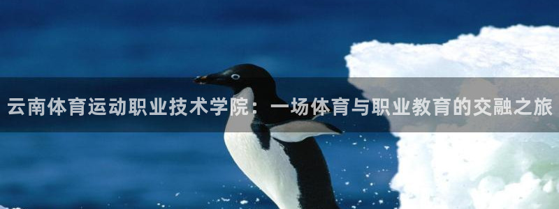 三亿体育登录：云南体育运动职业技术学院：一场体育与职业教育的交融之旅