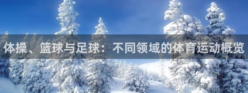 三亿体育：体操、篮球与足球：不同领域的体育运动概览