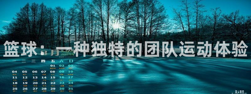 三亿体育网页版