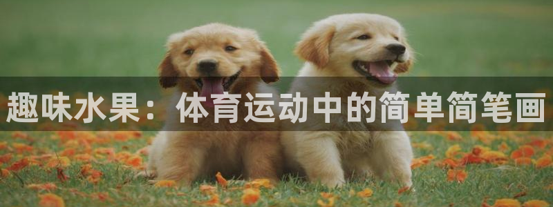 三亿体育