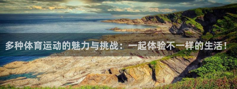 三亿体育网页版