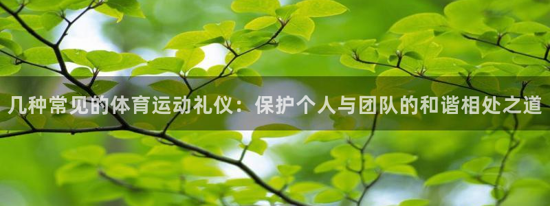 三亿体育