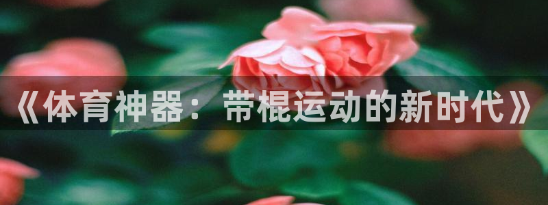 三亿体育登录：《体育神器：带棍运动的新时代》