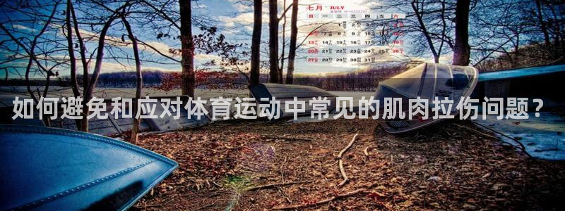 三亿体育网