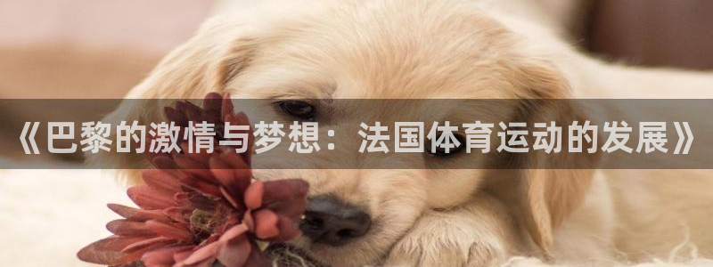 三亿体育网：《巴黎的激情与梦想：法国体育运动的发展》