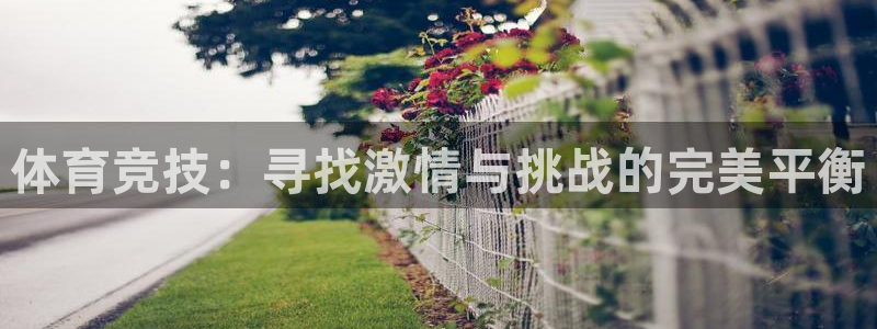 三亿体育网：体育竞技：寻找激情与挑战的完美平衡